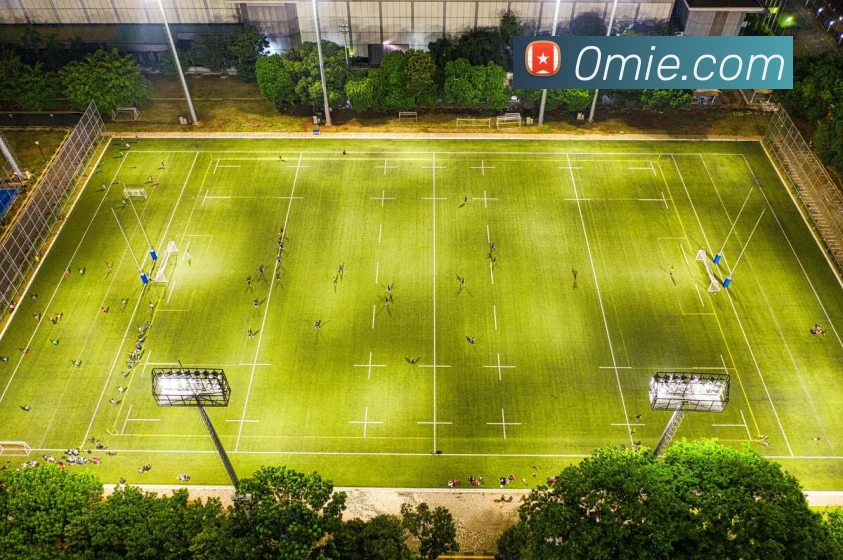 mksports官方app官网入口发展历程